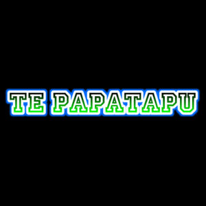 Te Aoturoa - Mens Full Zip Fleecy Hoodie
 Design